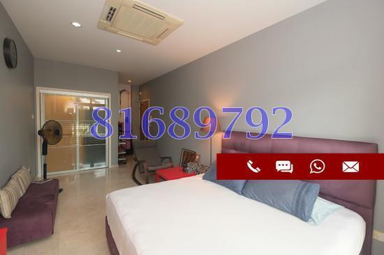 Treasure Gardens (D19), Apartment #157279892